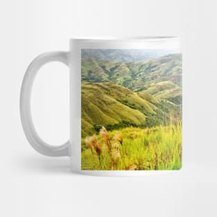 sli country Mug